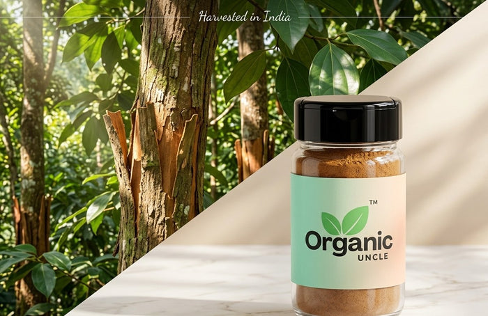 Cinnamon Powder