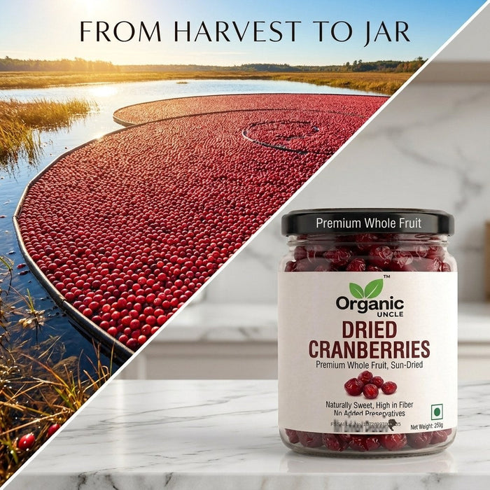 Dried Cranberries alternate view