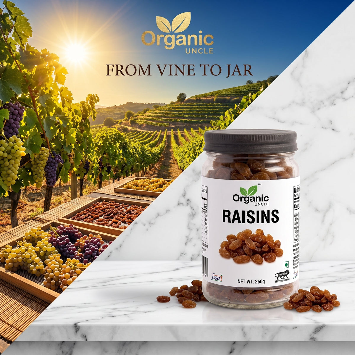 Black Raisins